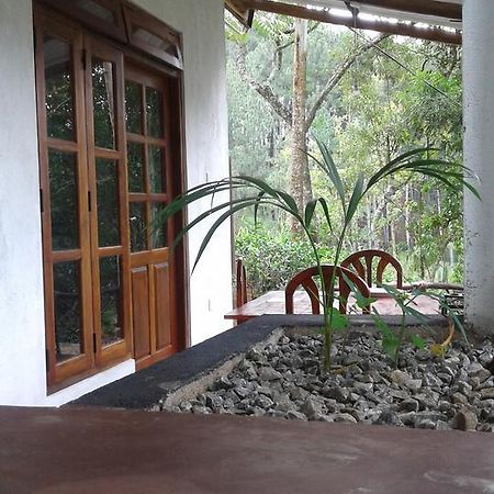 Mountain Nest Hotel Ella Exterior foto