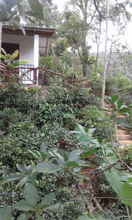 Mountain Nest Hotel Ella Exterior foto